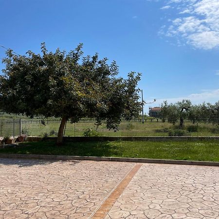 La Casa Di Michela Villa Torino di Sangro Kültér fotó