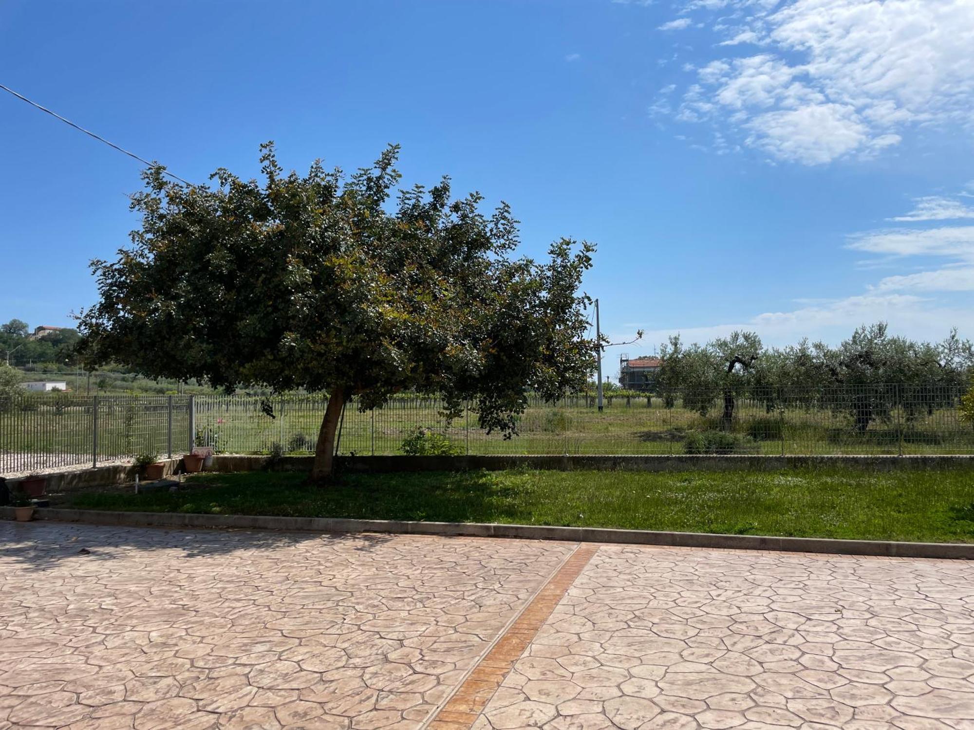 La Casa Di Michela Villa Torino di Sangro Kültér fotó